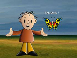 Armel y tal Cual educan a Colomia