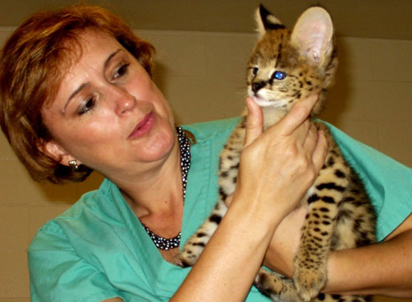 La doctora Martha Gomez y uno de sus gatos salvajes