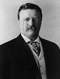 presidente de Estados Unidos Theodoro Rooselvet
