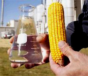 El etanol, derivado de la caña de azúcar, es el biocombustible  disponible  con la mejor relación costo-eficacia (mucho mejor que el de maíz)