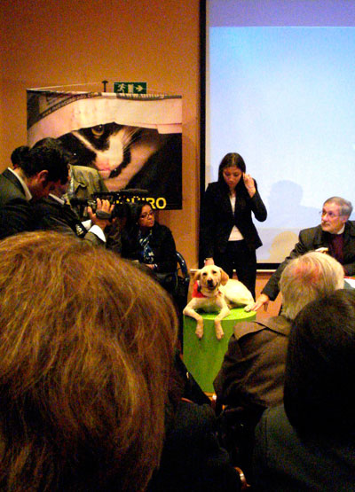 El gato Chiguiro y la perrita Flora, los dos grandes protagonistas