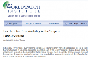 Worldwatc Institute se ocupa de Gaviotasa
