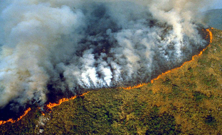 Arde con fuerza el Amazonas brasilero. Foto: archivo particular).